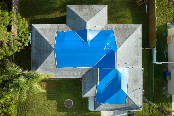 Best Roof Leak Repair  in Laguna Vista, TX